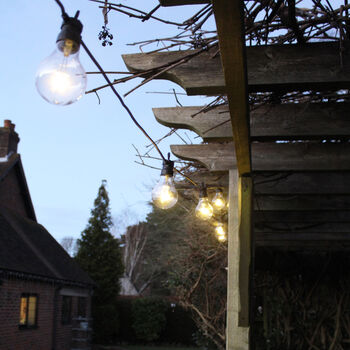 Garden Party String Bulb Lights, 2 of 4