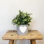 Cement White Heart Planter With Choice Of Succulent, thumbnail 2 of 3