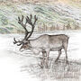 'Lapland' Print, thumbnail 3 of 3