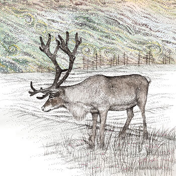 'Lapland' Print, 3 of 3