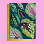 Houseplants Colourful Pattern Blank Card, thumbnail 1 of 2