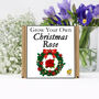 Grow Your Own Christmas Rose. Letterbox Gift, thumbnail 2 of 4