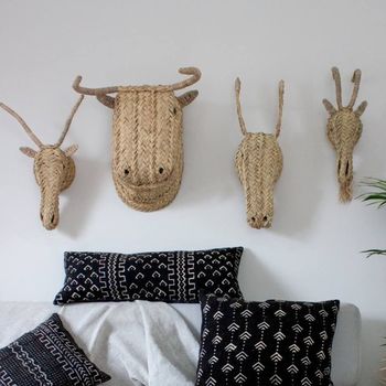 soft animal wall heads