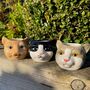 Ceramic Cat Mini Planter, thumbnail 1 of 7