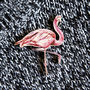 Inky Flamingo Eco Wooden Pin Brooch, thumbnail 3 of 6