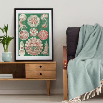 Red And Green Jellyfish Vintage Style Art Print, 4 of 4