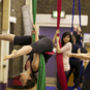 Aerial Silks Beginners Experience For One, thumbnail 3 of 8