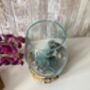 Large Molten Glass Bowl On Driftwood Handmade Pot Pourri Nuts Floating Flower Bowl, thumbnail 5 of 10