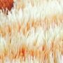 Ginge The Cat, Cuddly Companion Soft Toy In Gift Packaging, thumbnail 11 of 11
