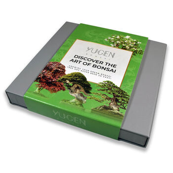 Mystery Bonsai Seed Collection Gift Box, 2 of 6