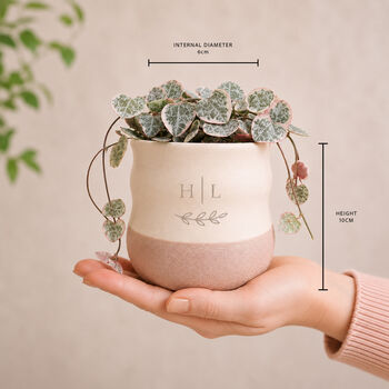 Personalised Wedding Gift Plant Pot With Optional Plant, 4 of 7