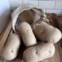 Pretend Play Felt Food Potatoes, thumbnail 3 of 5