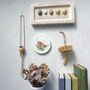 Wren And Snowdrops Decorative Mini Wall Plate, thumbnail 6 of 8