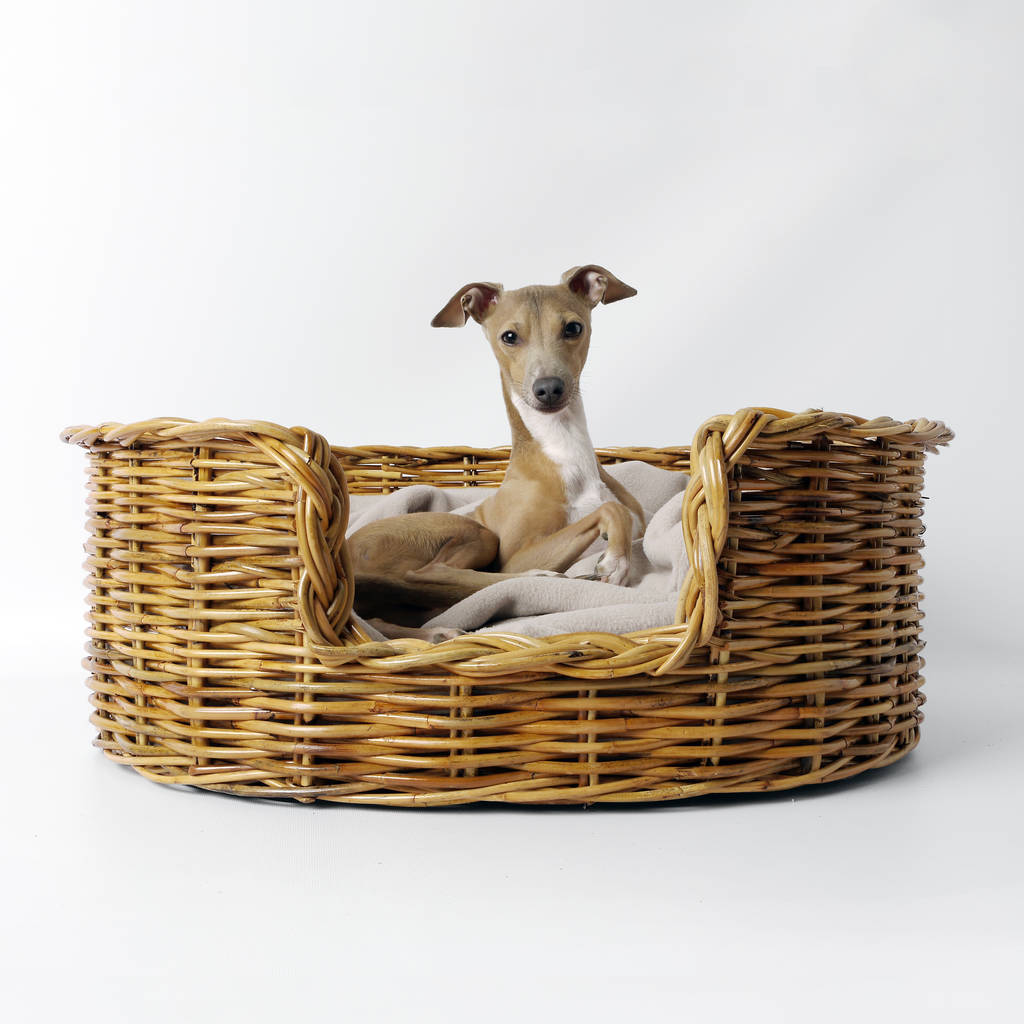Natural Oval Rattan Pet Basket For Cats Or Dogs, 1 of 6