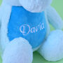 Personalised Blue Dinosaur Soft Toy, thumbnail 2 of 4