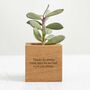 Personalised Solid Oak Micro Plant Pot, thumbnail 4 of 7