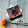 Sunset At Sycamore Gap Greetings Card, thumbnail 2 of 2