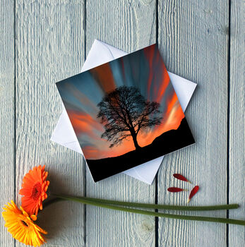 Sunset At Sycamore Gap Greetings Card, 2 of 2