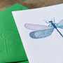 Hand Drawn Dragonfly Illustrated Blank Greeting Card, thumbnail 6 of 10