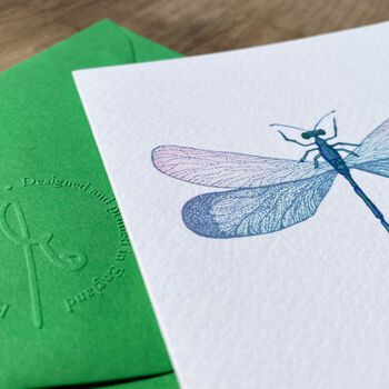 Hand Drawn Dragonfly Illustrated Blank Greeting Card, 6 of 10