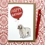 Clumber Spaniel Birthday Card, thumbnail 3 of 4