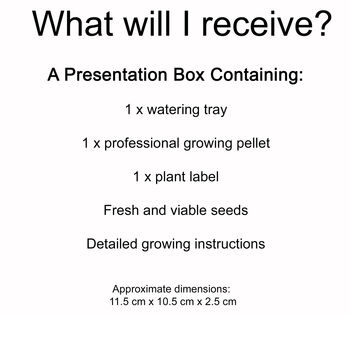 Gardening Gift. Forget Me Not Growing Kit, 6 of 6