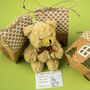 Teddy In Christmas Box Tree Decoration, thumbnail 1 of 4