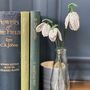 Snowdrop Beaded Flower Craft Kit, thumbnail 1 of 4