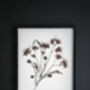 Original Pressed Flower Frame – A3 Echo Bloom Botanical Wall Art, thumbnail 3 of 7