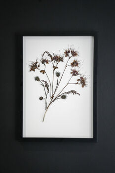 Original Pressed Flower Frame – A3 Echo Bloom Botanical Wall Art, 3 of 7