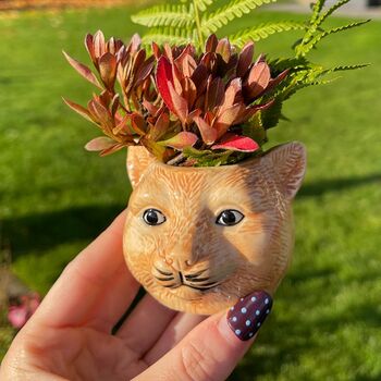 Ceramic Cat Mini Planter, 6 of 7