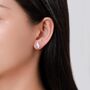 Sterling Silver Tiger Stud Earrings, thumbnail 7 of 12