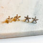 Coastal Shell And Starfish Stud Earrings, thumbnail 2 of 3