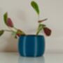 Vibrant Pot For Houseplants, Smooth Curve Design, thumbnail 3 of 11