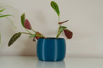 Vibrant Pot For Houseplants, Smooth Curve Design, 3 of 11