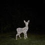 Swinsty Fawn Dual LED Battery Operated Outdoor Reindeer, thumbnail 1 of 3