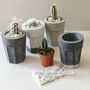Concrete Planter Cactus Kit, thumbnail 3 of 12