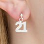 Sterling Silver 21 Charm Earrings, thumbnail 1 of 6