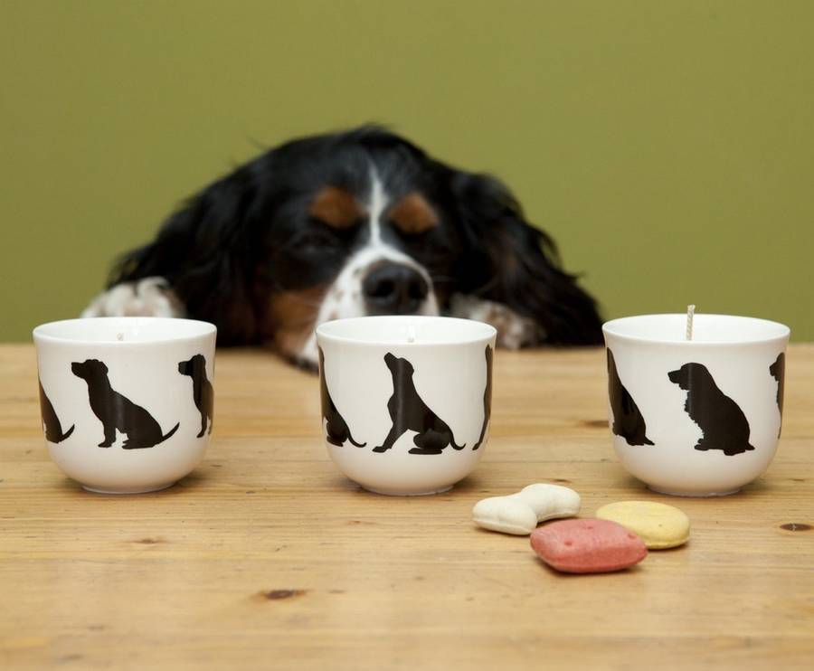 Scented Candles Dog Designs Lots Of Breeds Available, 1 of 12