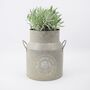 Lavender Angustifolia In Milk Churn Planter, thumbnail 1 of 3
