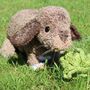 Personalised Crocheted Cuddly Toy Of Your Rabbit, thumbnail 1 of 5