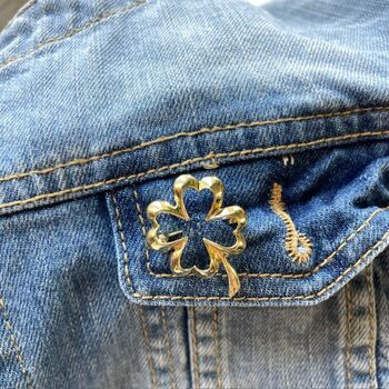 You’ve Got This Clover Brooch Gift For Her – Good Luck Exam Gift For Girls, Gcse Gift, 6 of 11