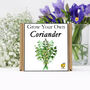 Gardening Gift. Grow Your Own Herbs. Coriander Seeds, thumbnail 2 of 4