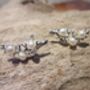 Freshwater Pearl Silver Branch Earrings / Ear Climbers, thumbnail 6 of 7