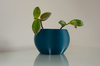 Spherical Plant Pot – Lightweight And Durable, 2 of 5