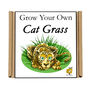 Gardening Gift. Grow Your Own Cat Grass Seeds Kit, thumbnail 5 of 6