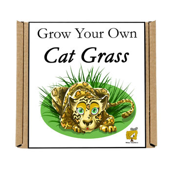 Gardening Gift. Grow Your Own Cat Grass Seeds Kit, 5 of 6