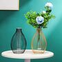 Metal Frame Lantern Shape Flower And Hydroponic Vase, thumbnail 1 of 6