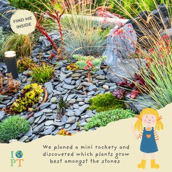 Children's Eco Activity Box: Adorable Adélie Penguins, 7 of 12