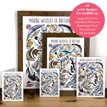 Marine Wildlife Of Britain Greeting Card, 2 of 8